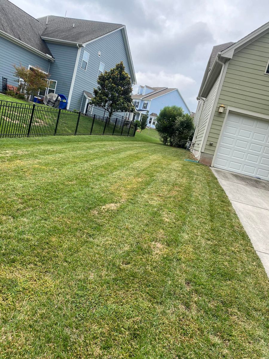 Full Service Mowing for Healthy Roots Landscaping in Apex, NC