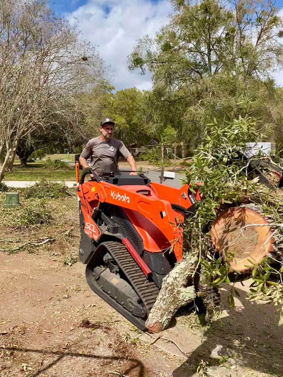 Tree Trimming for Top Notch Tree Experts in Orange Park, FL