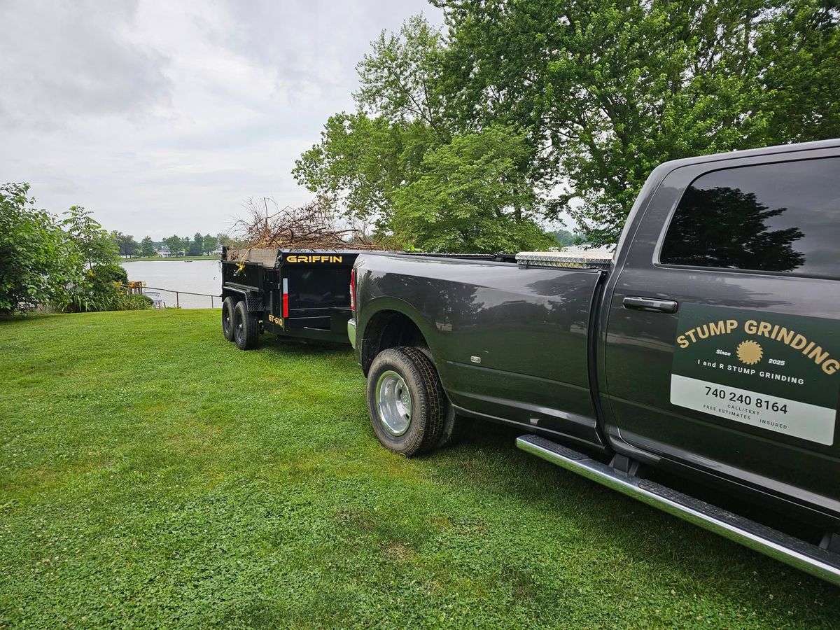 Debris Removal for I and R Stump Grinding in Thornville, OH