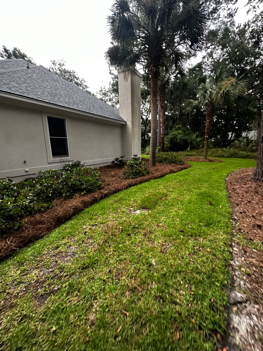 Pine Straw Installation for Coastalscapes Landscaping & Turf Management  in Savannah, GA