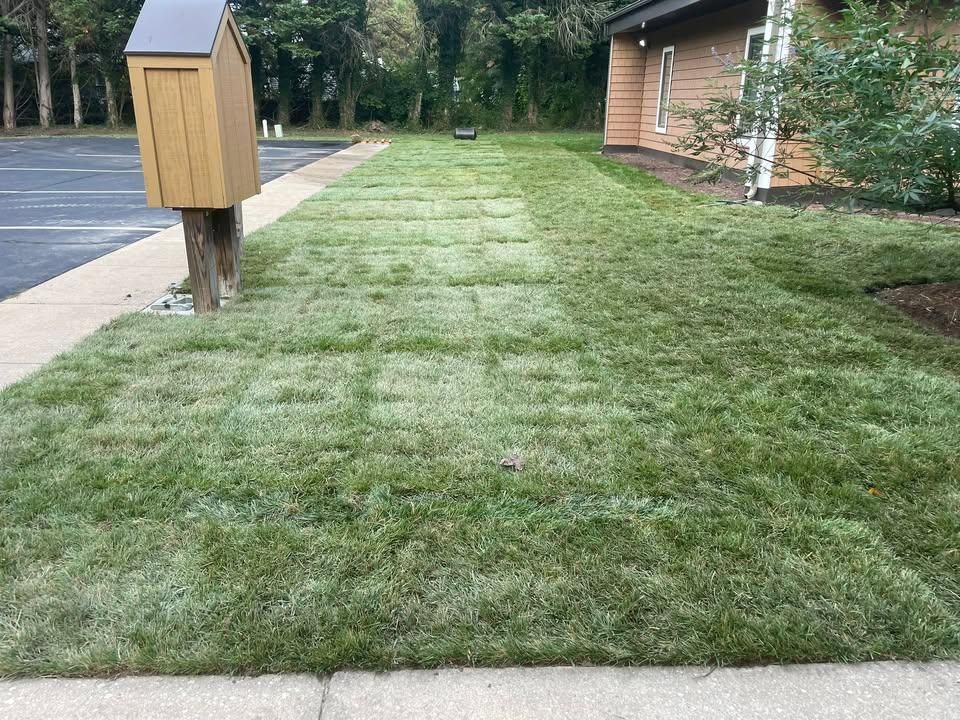 Land Clearing for B&B All Services in Aspen Hill, Maryland