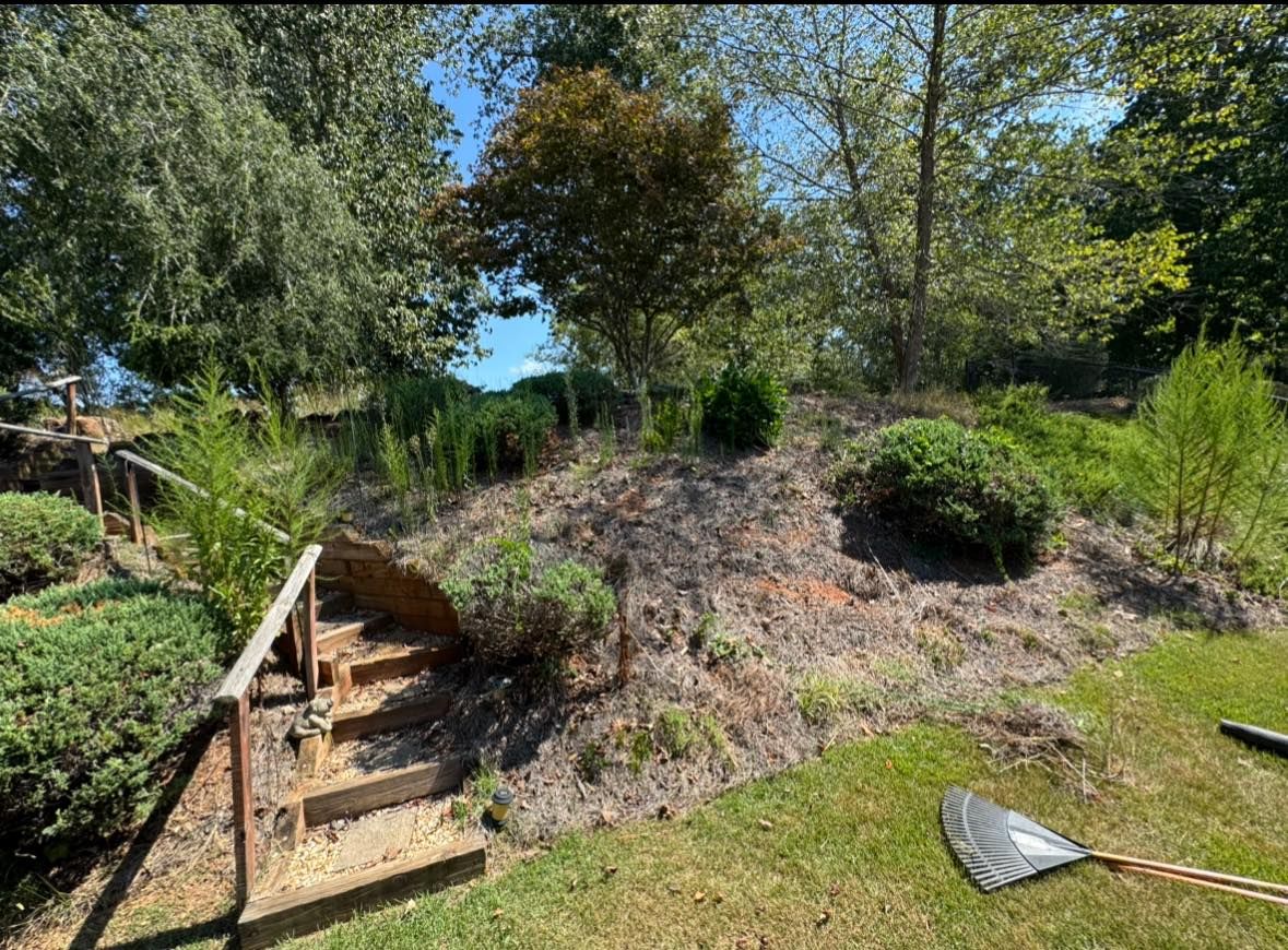 Fall Clean Up for Brumblebee's Landscaping & Cleaning Services in Loganville, GA