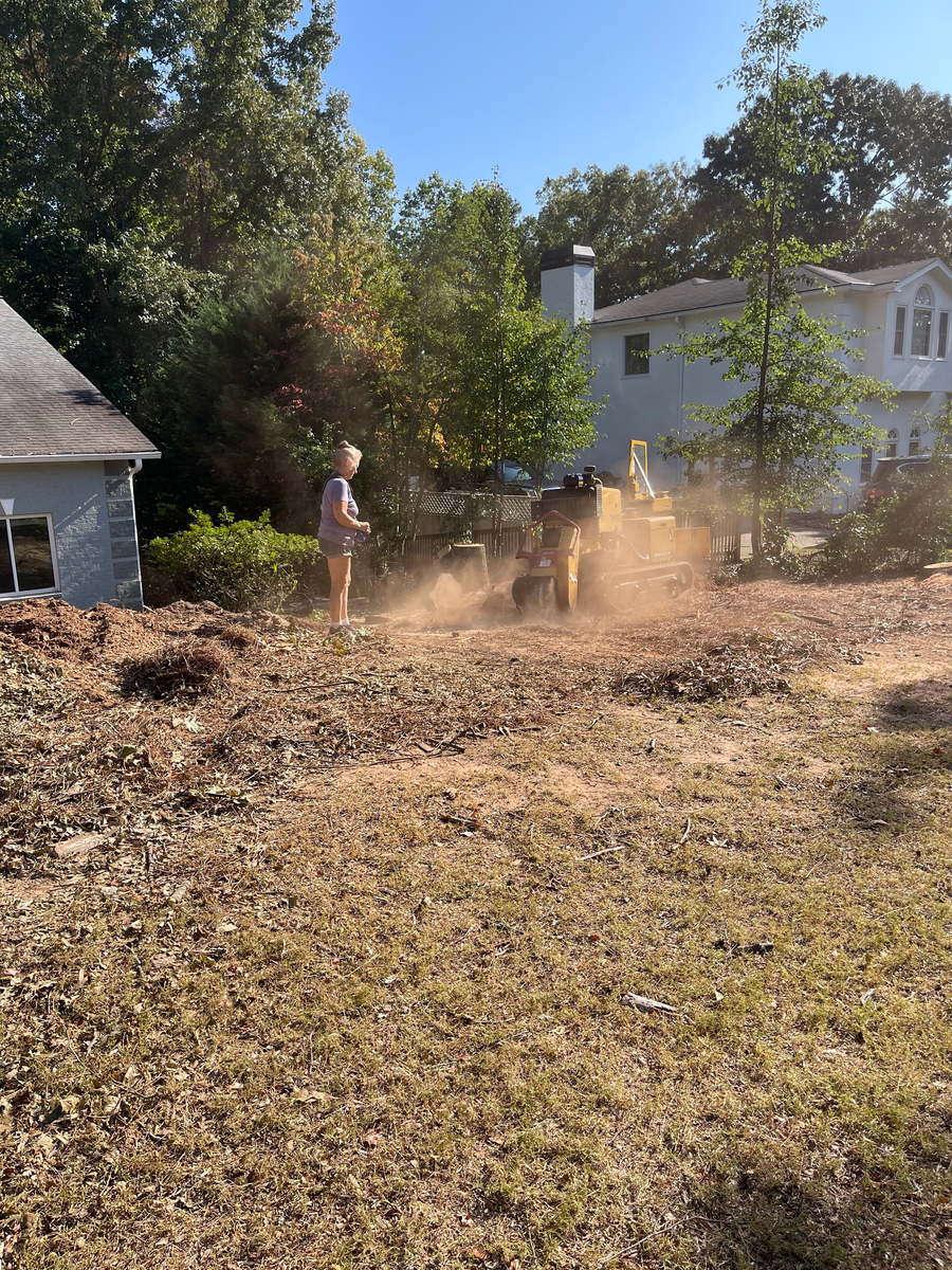 Fall Clean Up for M & J Tree Service & Stump Grinding in Auburn, GA