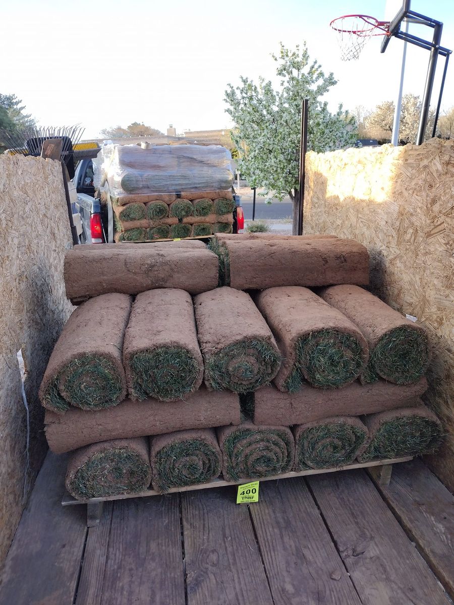 Sod Installation for 2 Brothers Landscaping in Albuquerque, NM