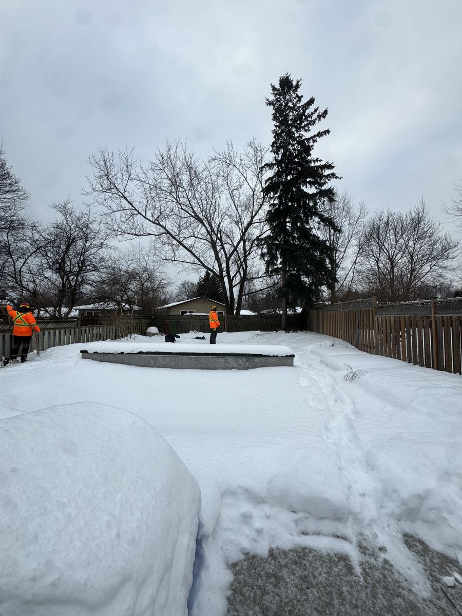 Tree Removal for Calderwood Landscapes in Oakville, ON