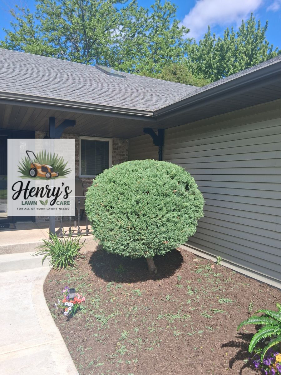 Shrub Trimming for Henry's Lawn Care in Rockford, IL