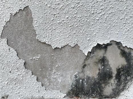 Stucco Repair  for Clean Slate Painting in Jacksonville, FL