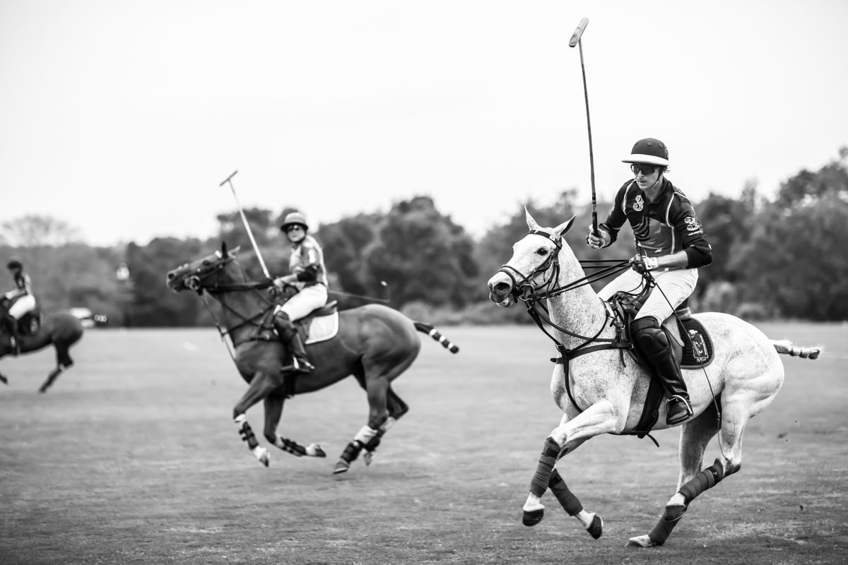 Polo for Donohue Studios in Midway , KY