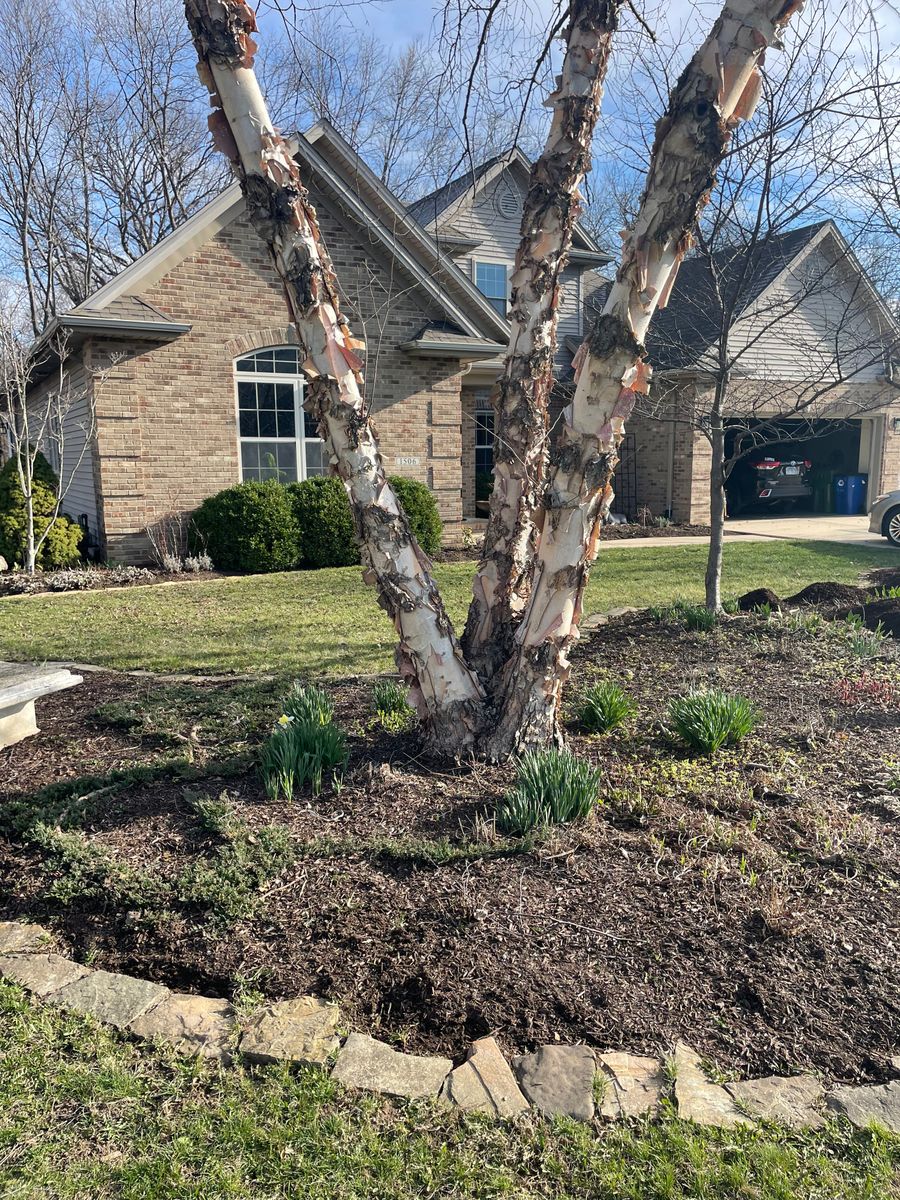 Lawn Maintenance for MDR Landscaping in Urbana, IL