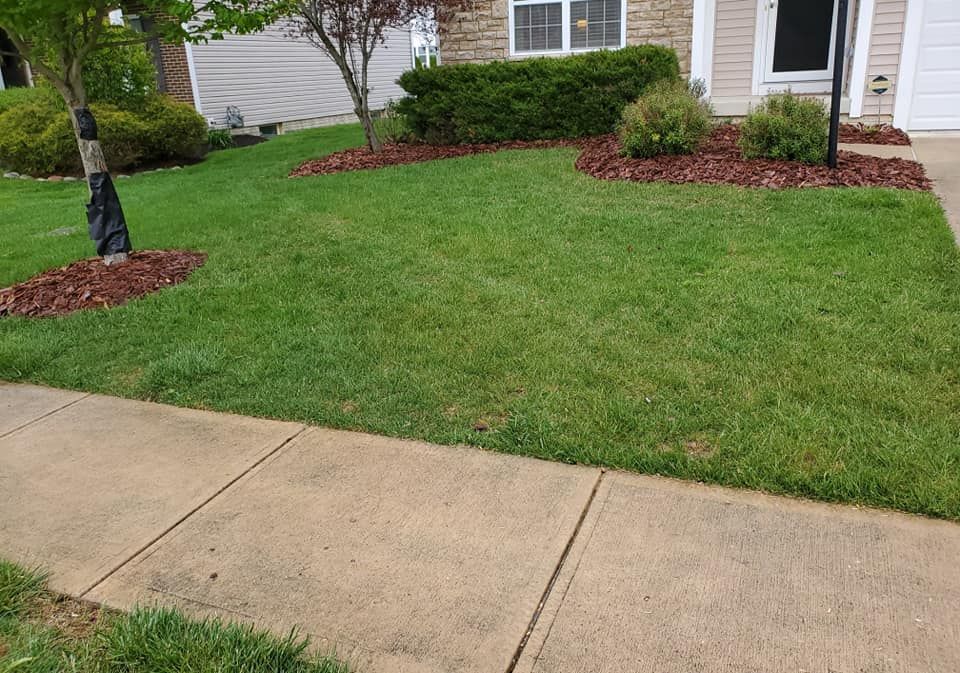 Edging for Mr. Prestige Lawn Care Perfectionist in Columbus, OH