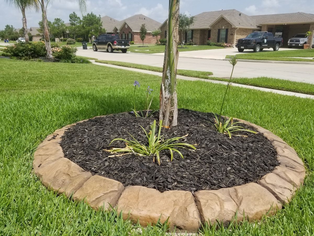 Landscaping for Texas Curb N Borders in Houston, TX