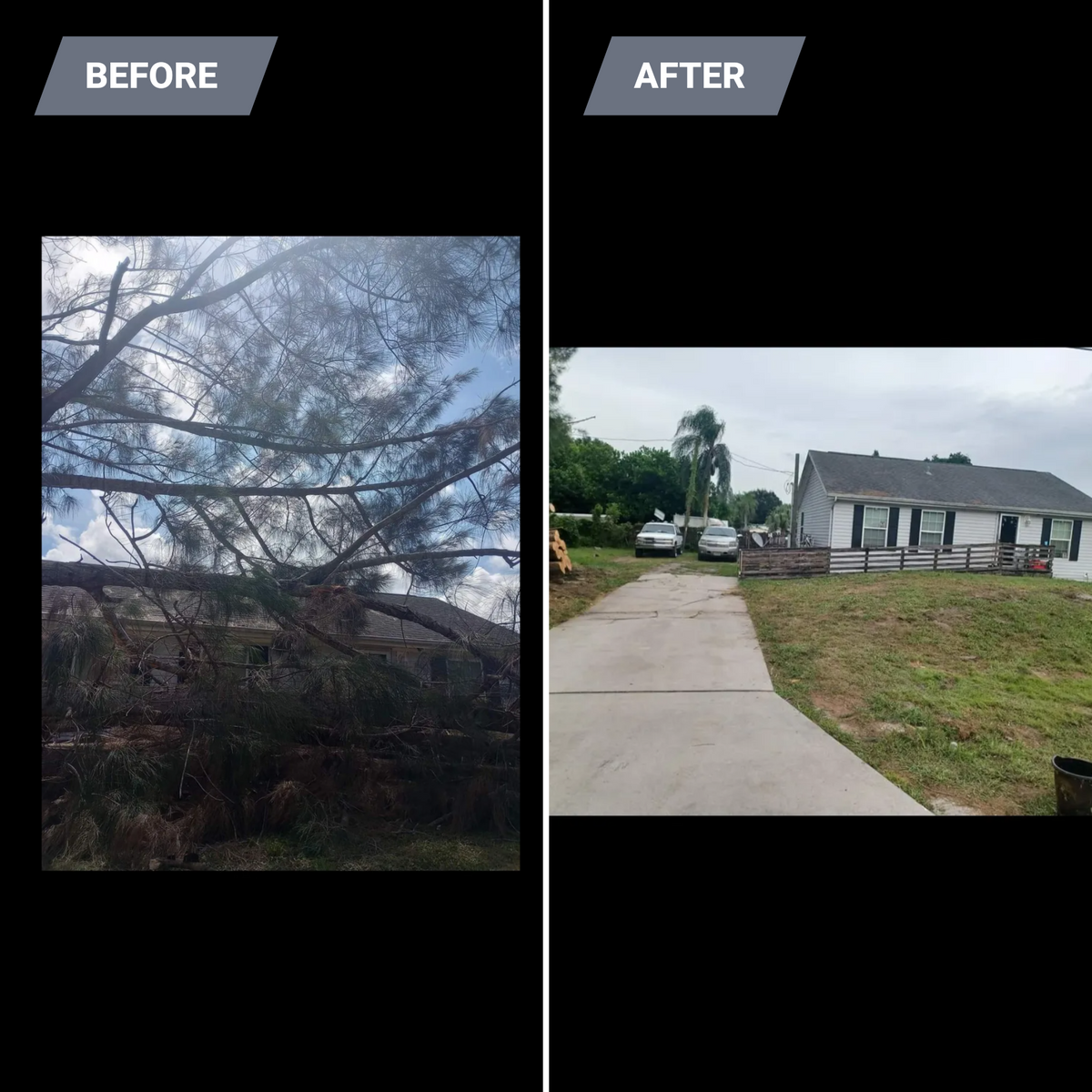 Tree Removal for Advanced Landscaping Solutions LLC in Fort Myers, FL