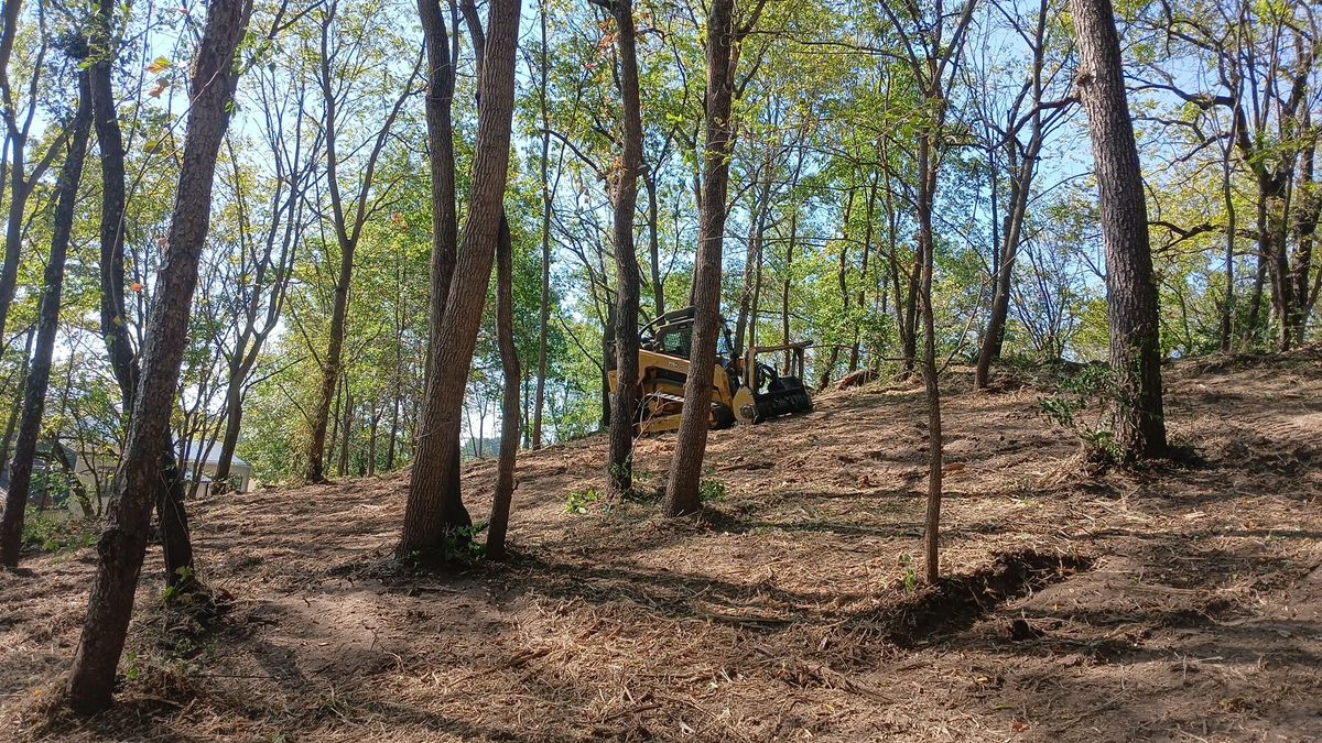 Land Clearing for Willing Trucking & Excavating in Evansville, WI
