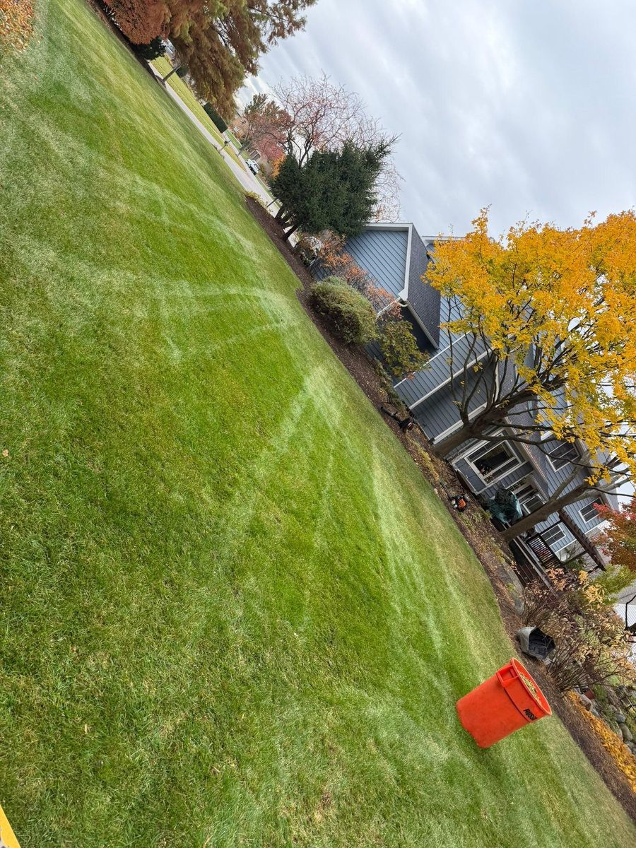 Lawn Aeration for R&L Deluxe Landscaping in Hanover Park, IL