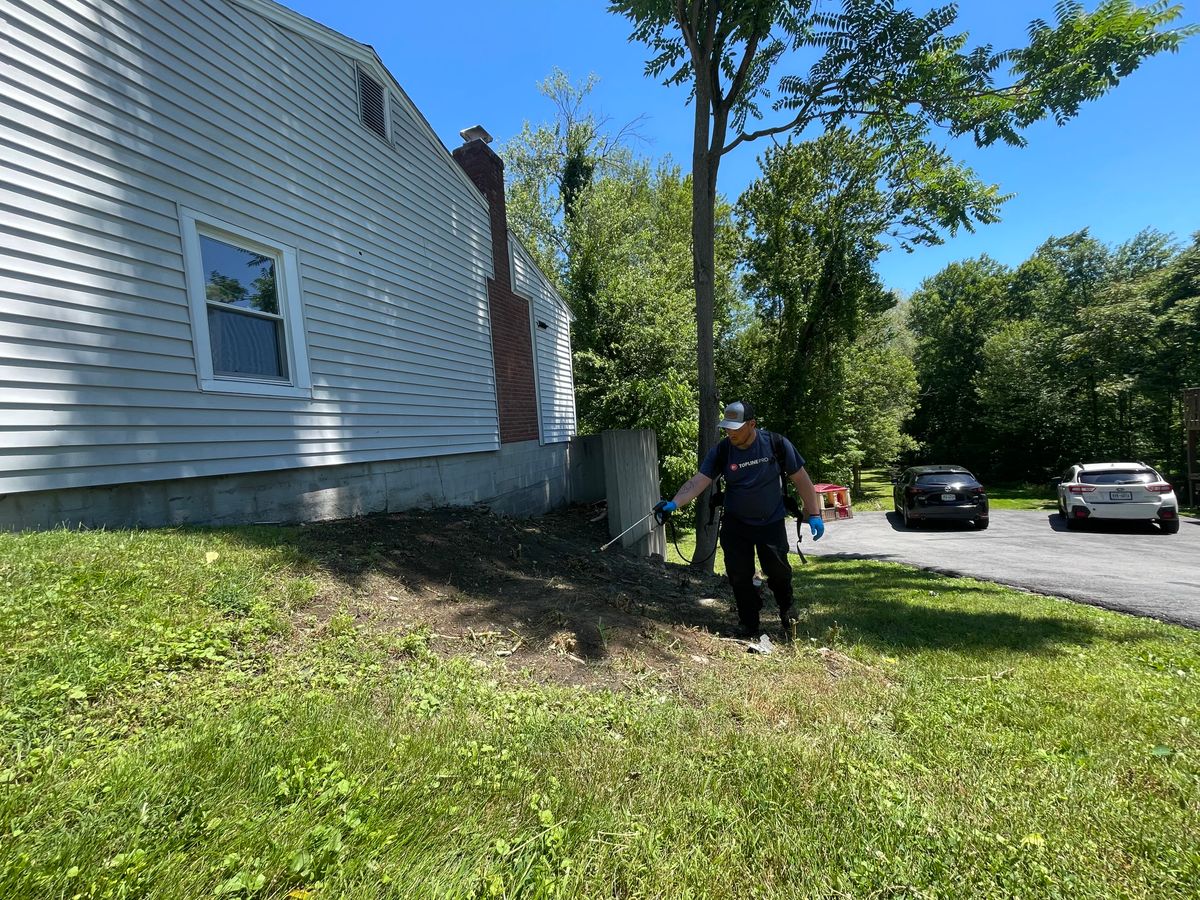 Weed Control for Perillo Property maintenance in Hopewell Junction, NY