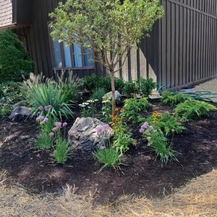 Shrub Trimming for Prime Landscaping 219 in Lake Station, IN