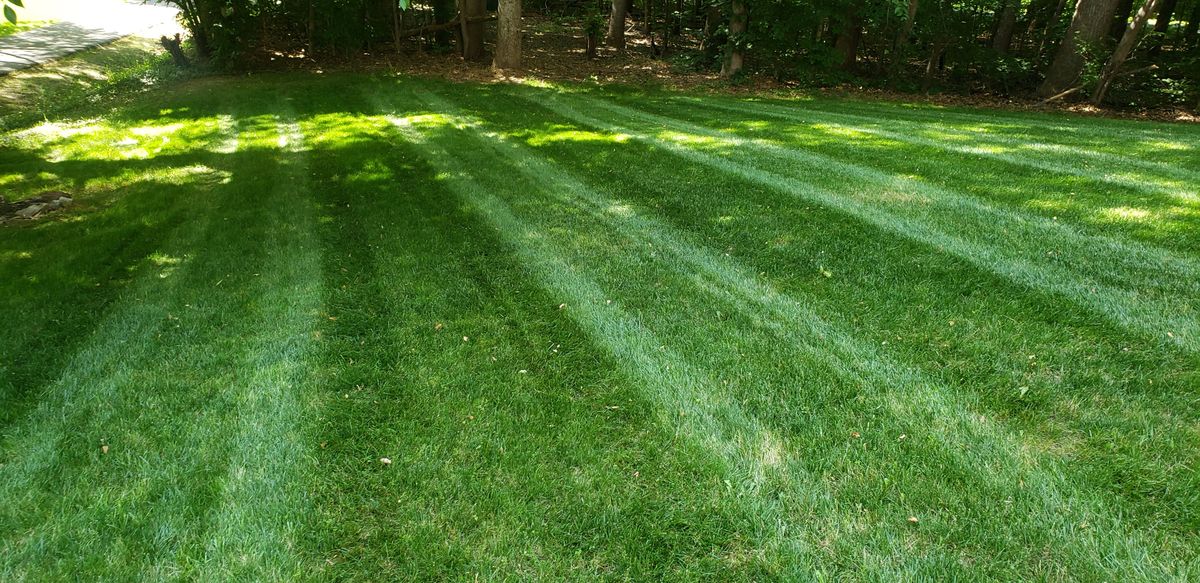 Lawn Maintenance for Sam I AM Property Solutions in Sunderland, MD