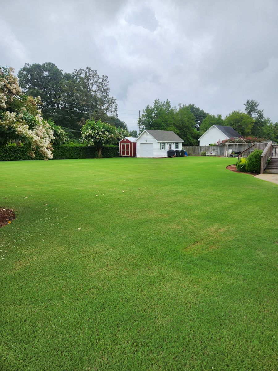 Weed Control for RightLane Turf Management LLC in Wilson, NC