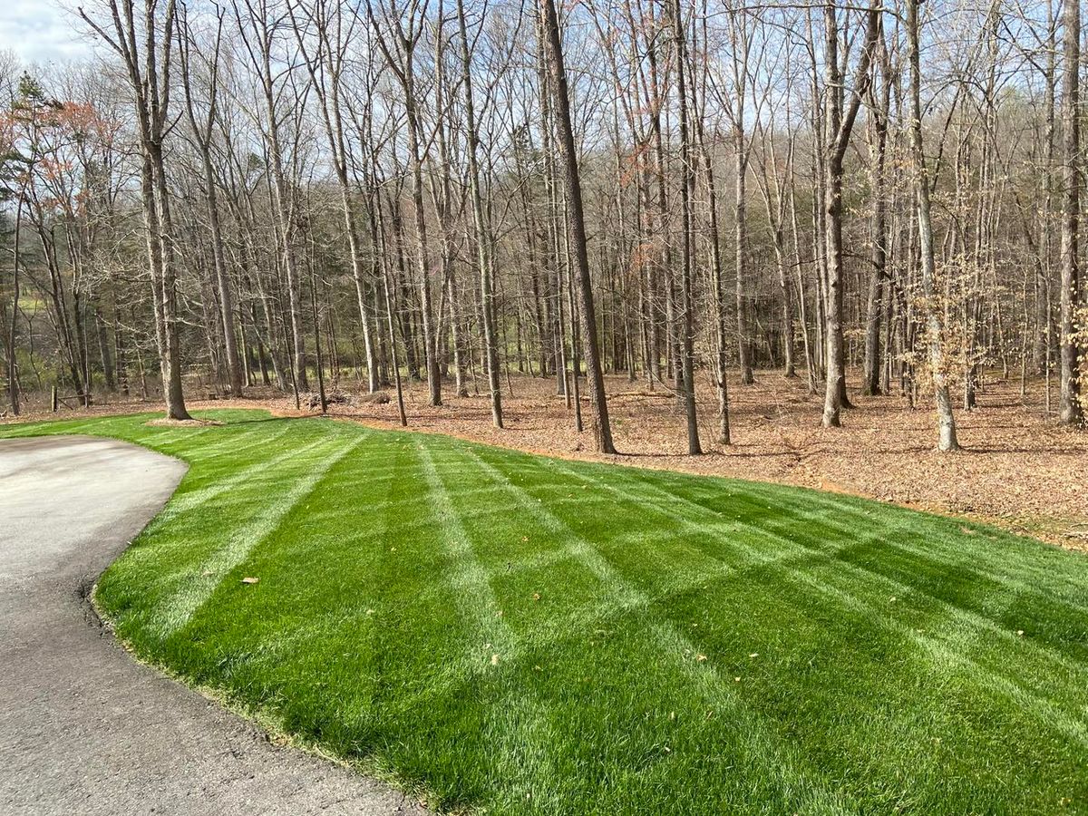 Mowing for El Perico Tree Service and Lawn Care, LLC in Boonville, North Carolina