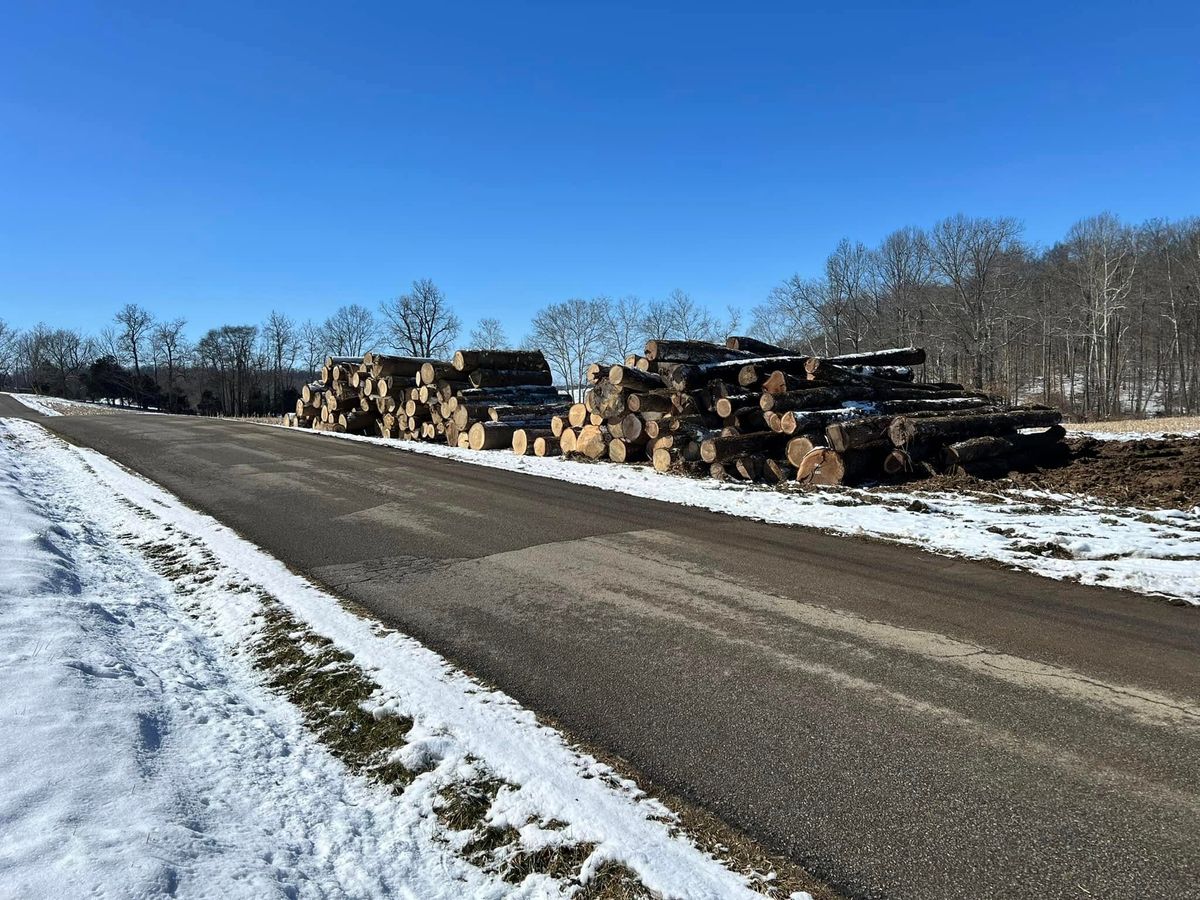 Tree Removal for Kadin’s Tree Service in North Vernon, IN