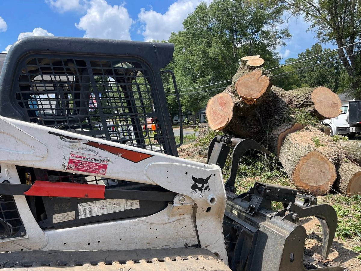 Tree Removal for K-2 Tree Service in Shelby, NC