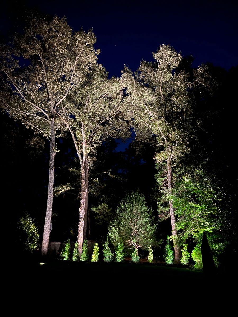 Landscape Lighting for Delta Lightscapes Outdoor Lighting in Memphis, TN