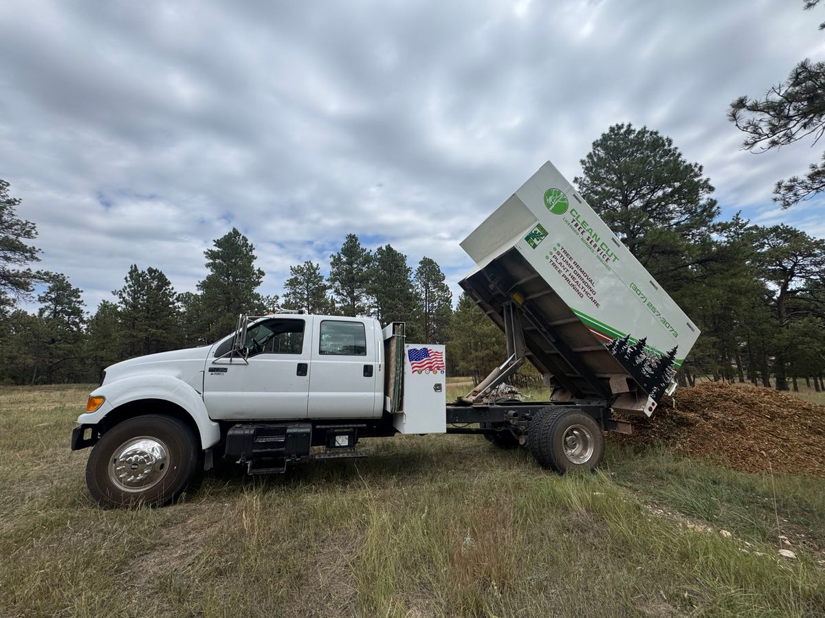 Mulch Installation for Clean Cut Tree Service in Gillette, WY