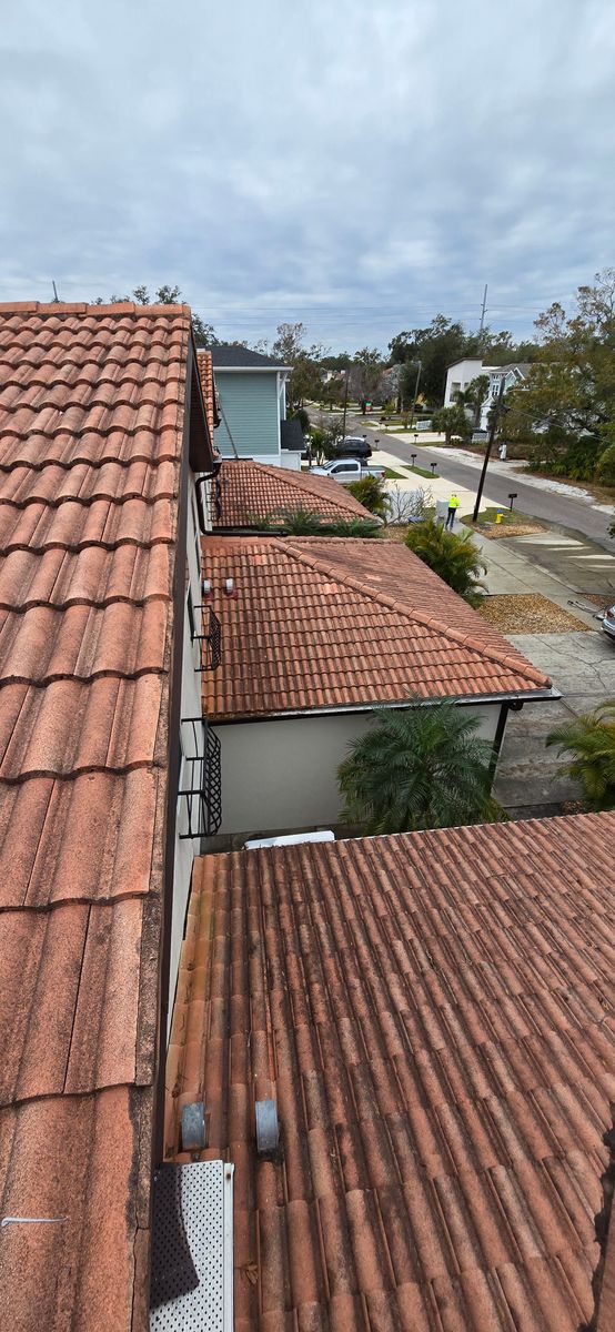 Multifamily Roof Cleaning for Blue Stream Roof Cleaning & Pressure Washing in Tampa, FL