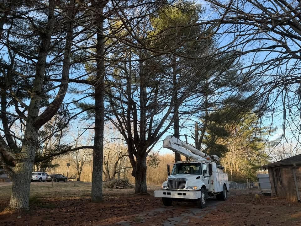 Emergency Services for McBee’s Tree Service in Sewanee, TN