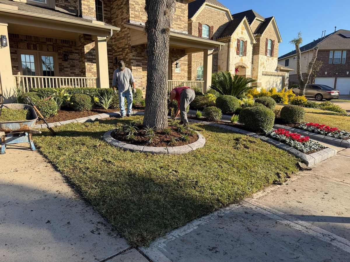 Landscaping for Texas Curb N Borders in Houston, TX