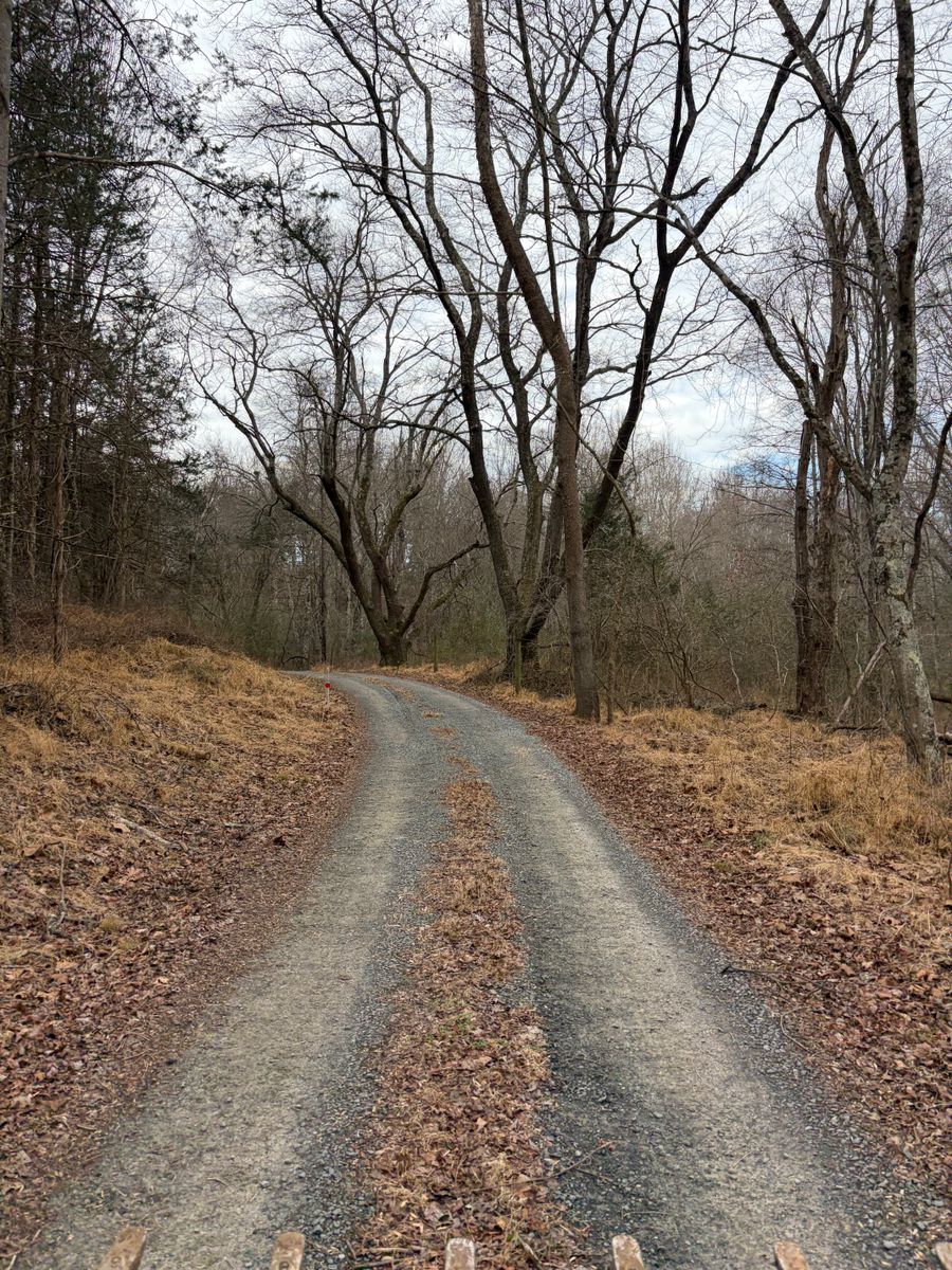 Tree Services for 9999 Building and Renovation LLC in Warrenton, VA