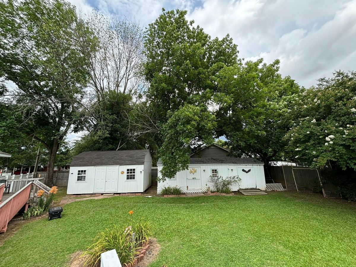 Tree Removal for Total Tree Care in Erwin, North Carolina