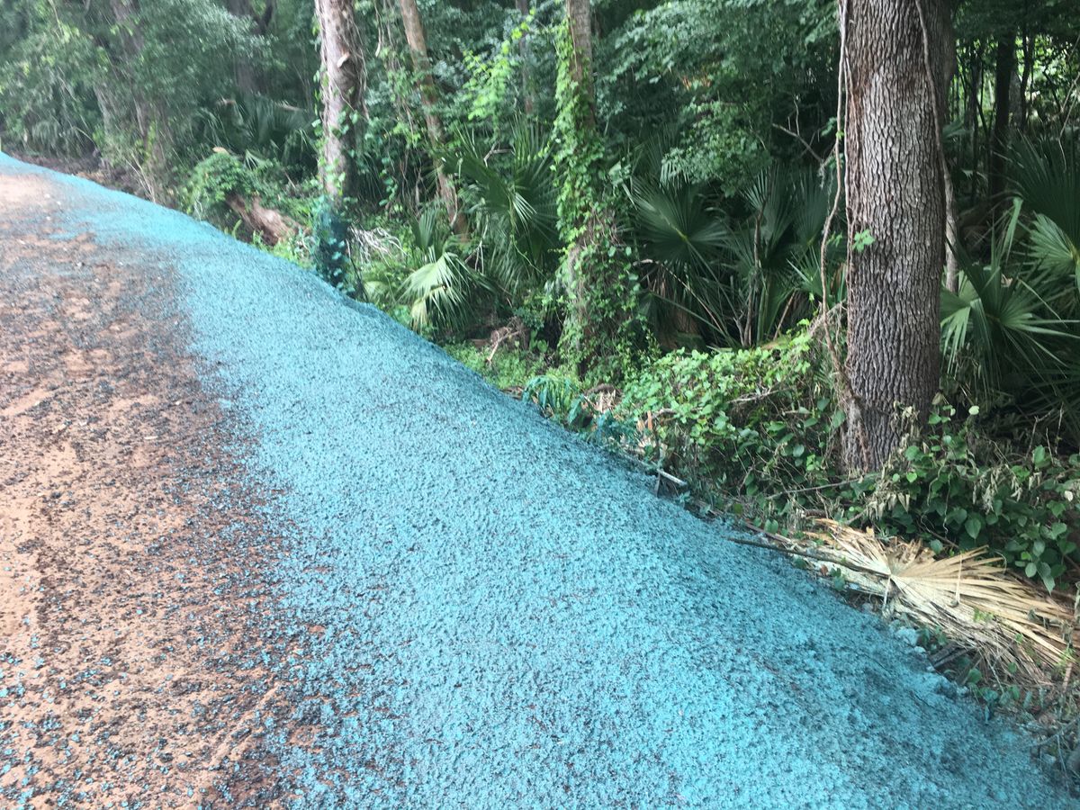 Erosion Control for Apex Outdoors Of Volusia in Volusia County, FL