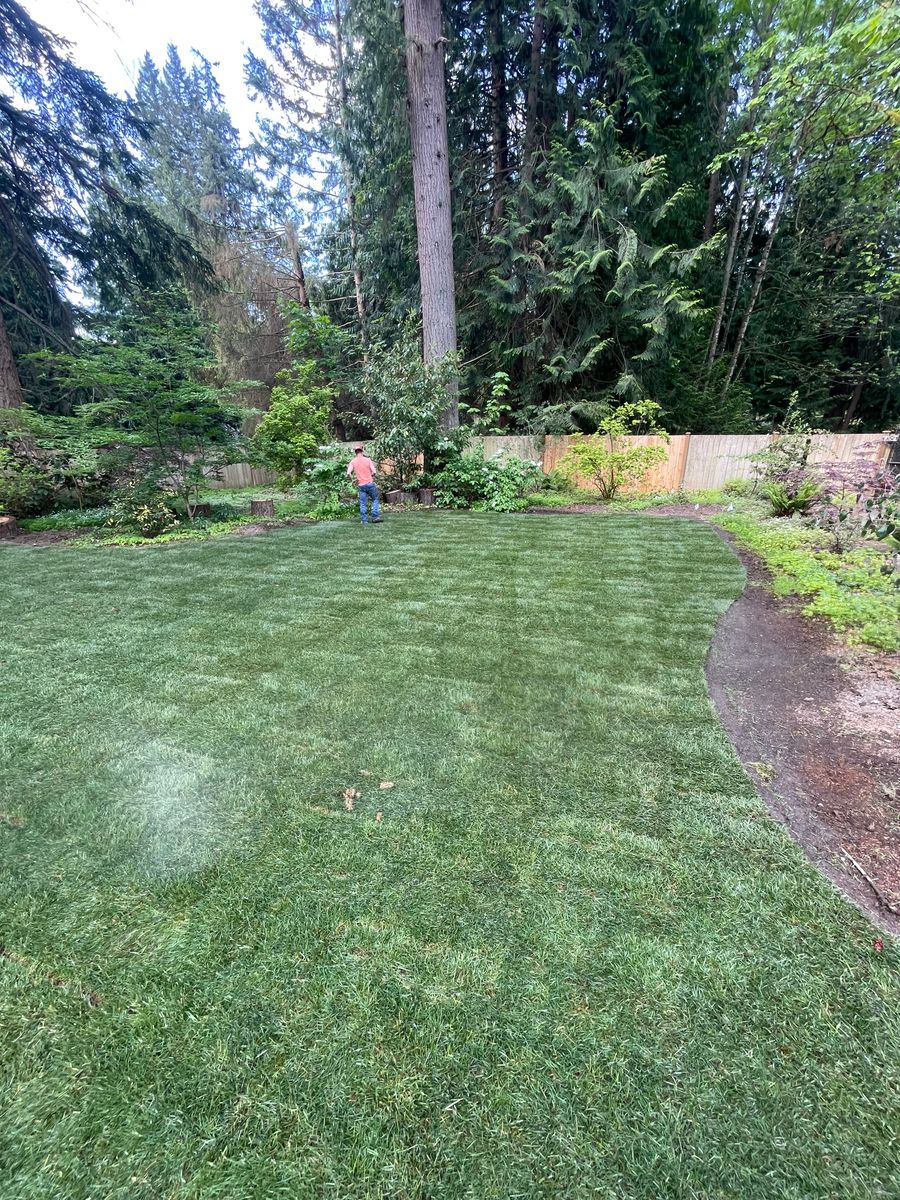 Property Maintenance for Stealth Landscaping in Black Diamond, WA