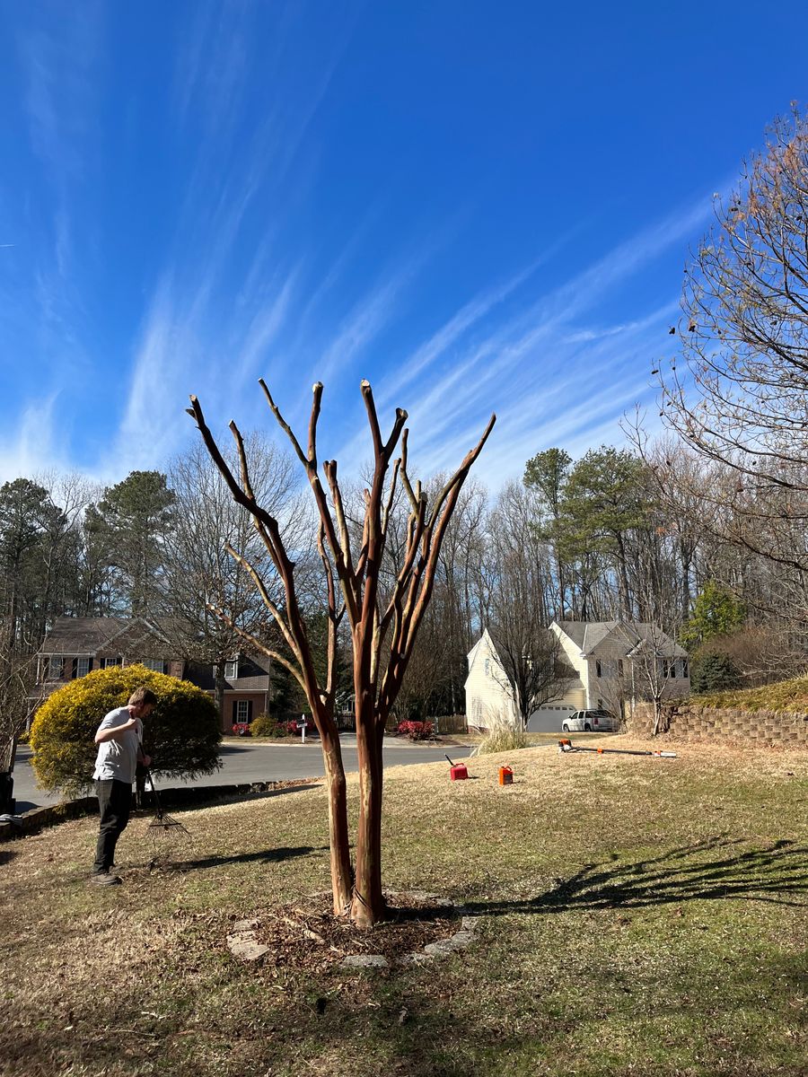Shrub and tree Trimming for Atlas Home Services in Mechanicsville, VA