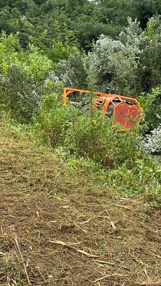 Steep Slope Mowing for Mountain Goat Land Management in Galax, VA