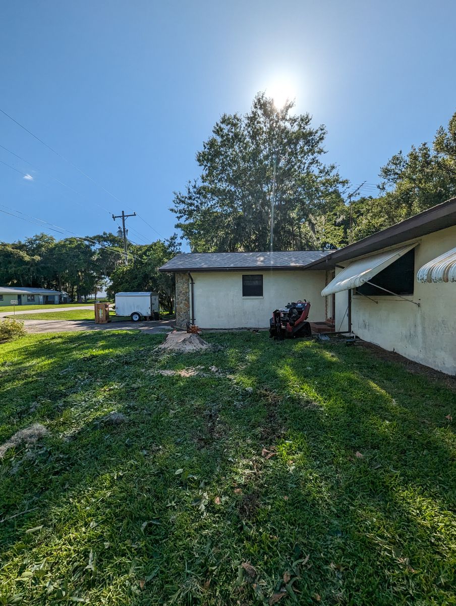 Stump Removal for Regal Tree Service and Stump Grinding in Wauchula, FL