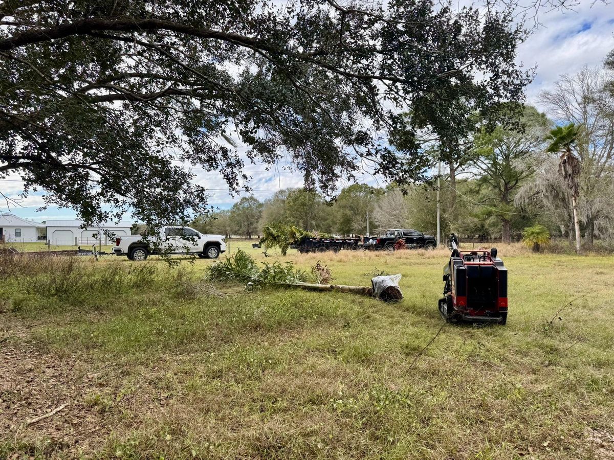 Land Grading for Shoreside Property Services in Apollo Beach, FL