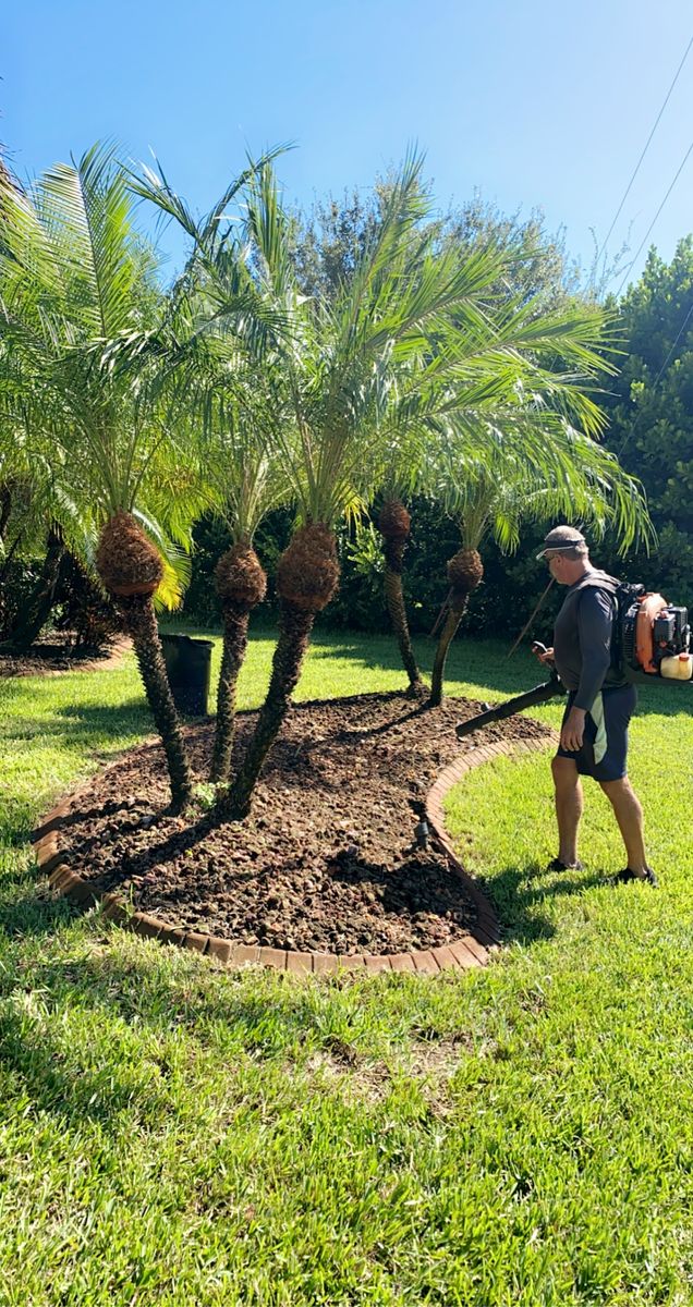 Tree Trimming for MX Trees LLC in Englewood, FL