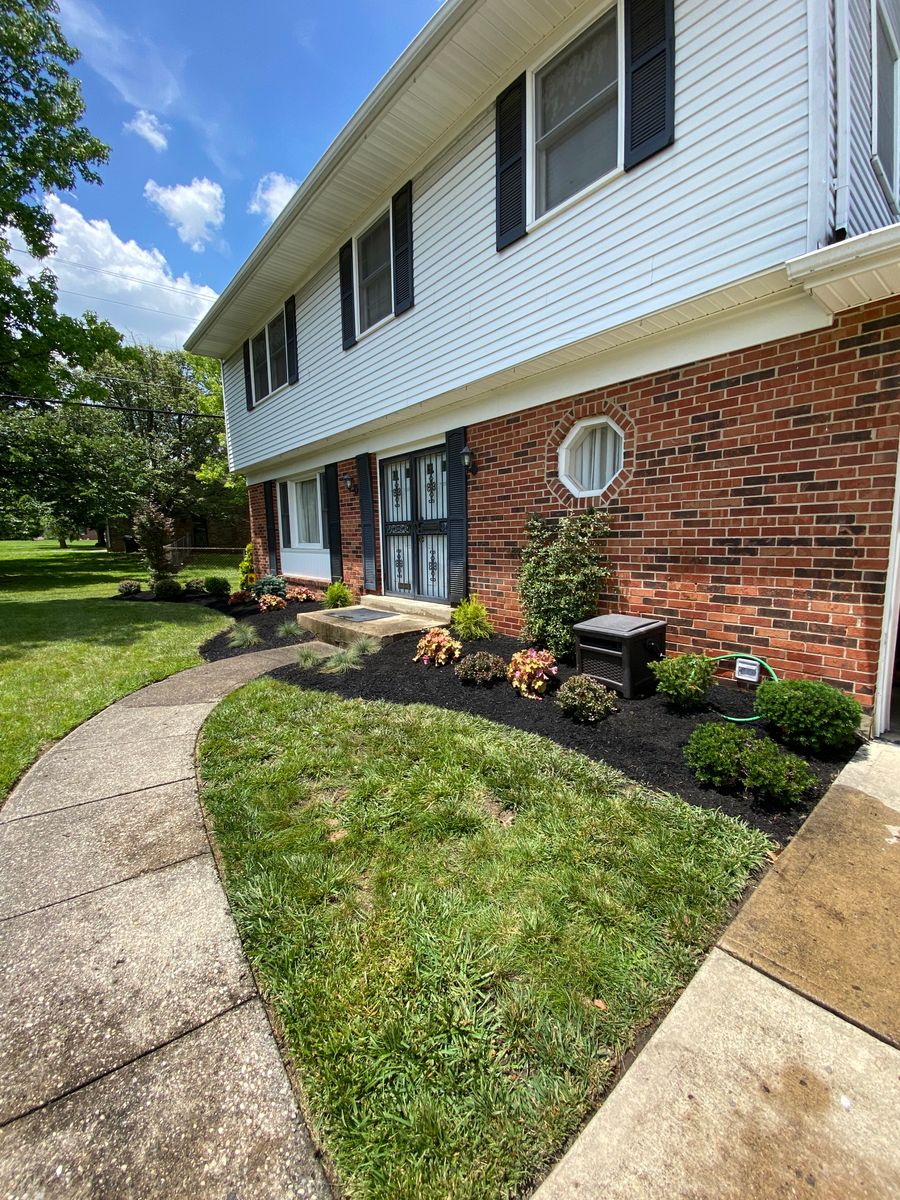 Shrub Trimming for Castle JR Landscaping & Painting LLC in Cincinnati, OH