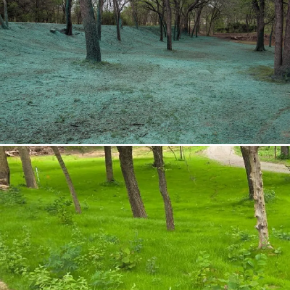 Hydroseeding for Foyil Bobcat and Hydroseeding in Edmond, OK