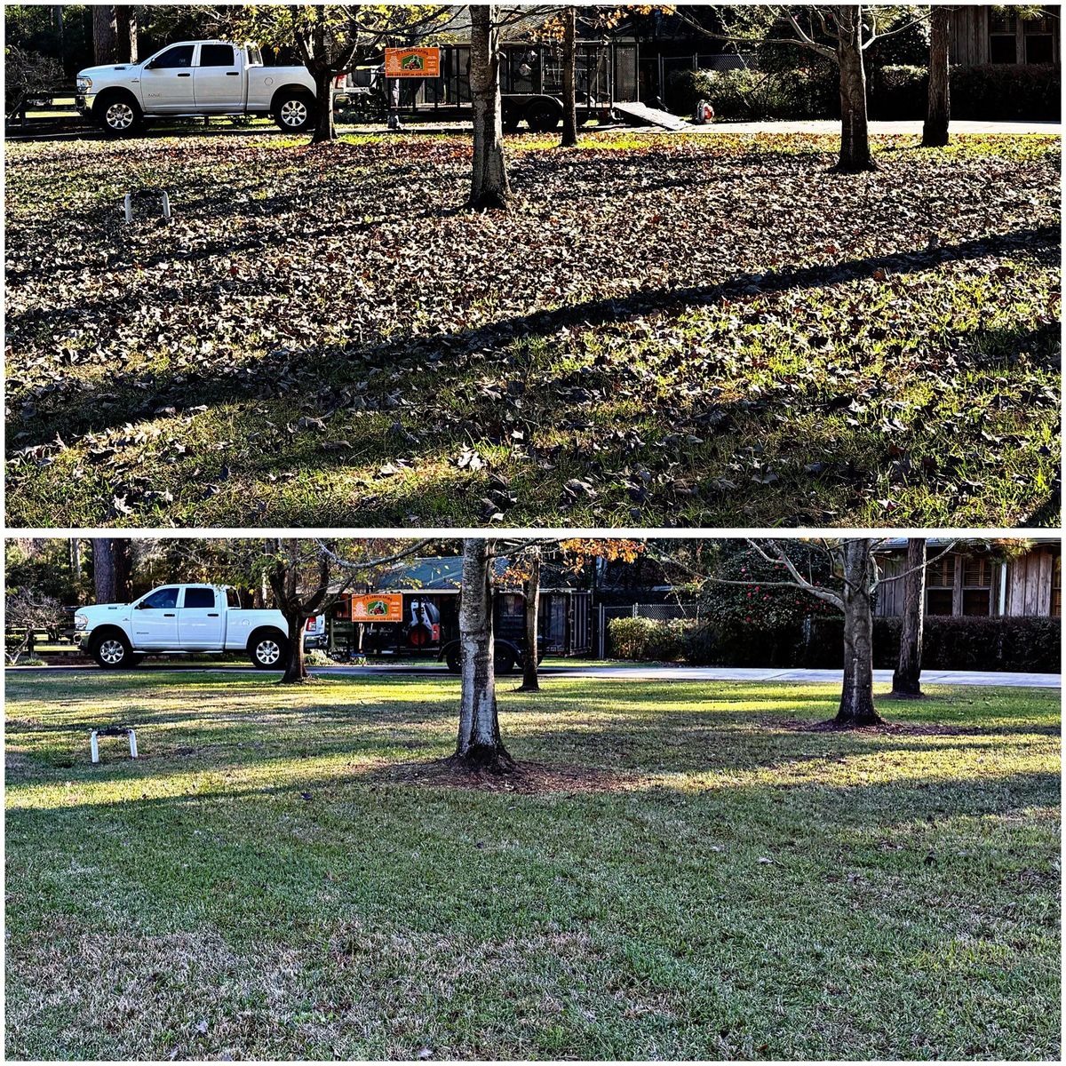 Yard Prep for JT’s Landscaping in Tyler County, TX
