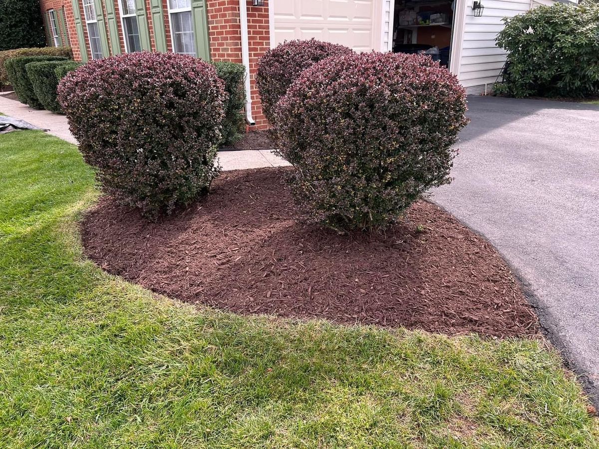 Spring / Fall Clean Up for Ridgewood Lawn Care LLC in Fredericksburg, VA
