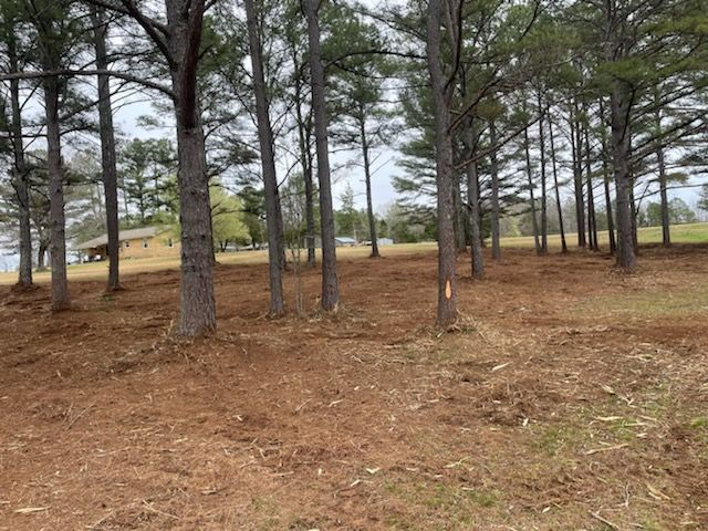 Forestry Mulching for Simmons land works in Sardis,, TN