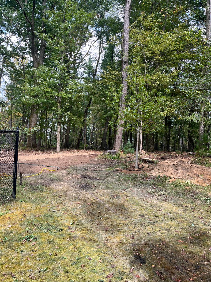 Tree Planting for J&E Tree & Excavation Services in Sandy, PA