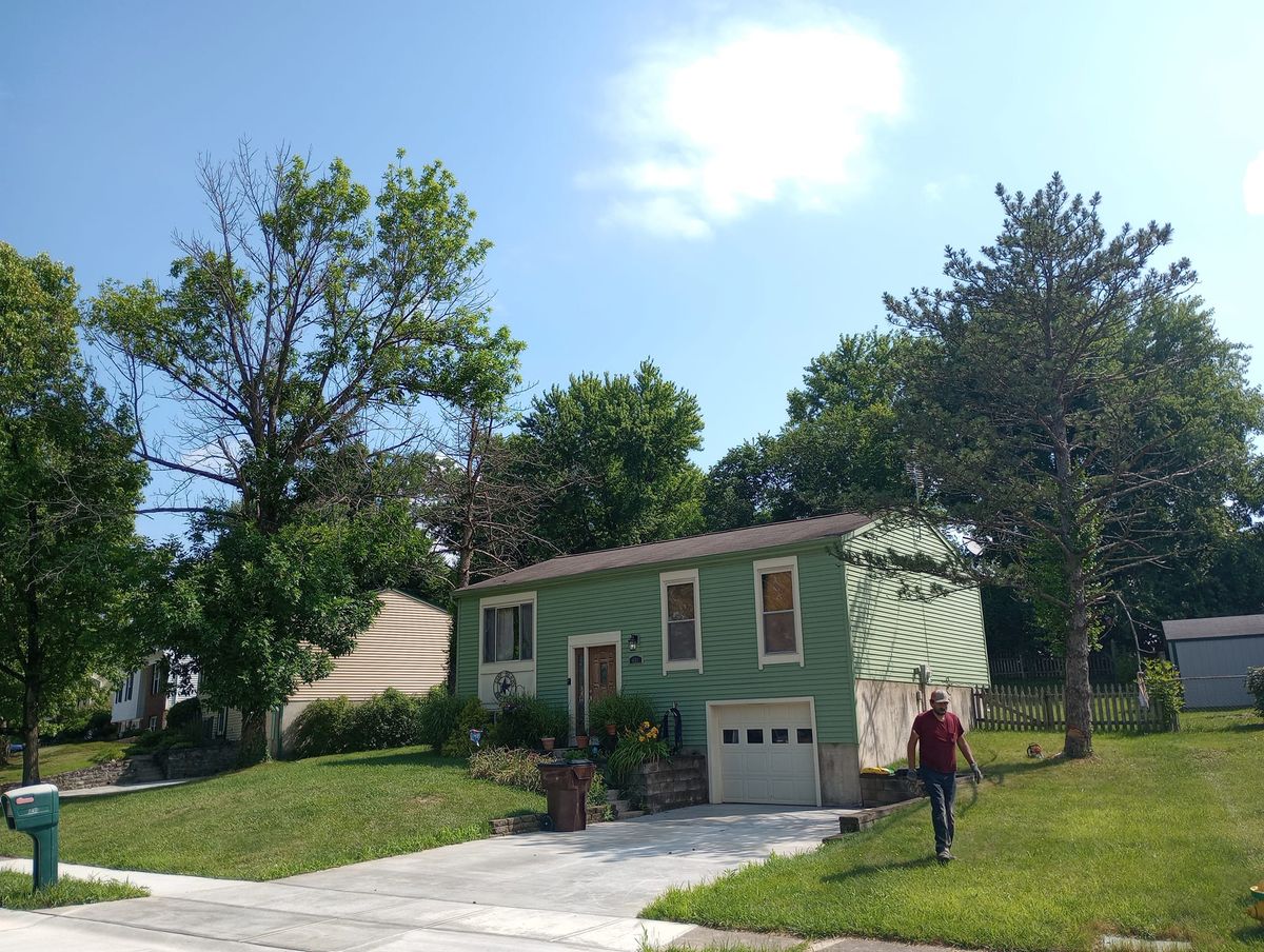 Tree Trimming for Kingdom Tree Trimming and Removal LLC in Covington, KY