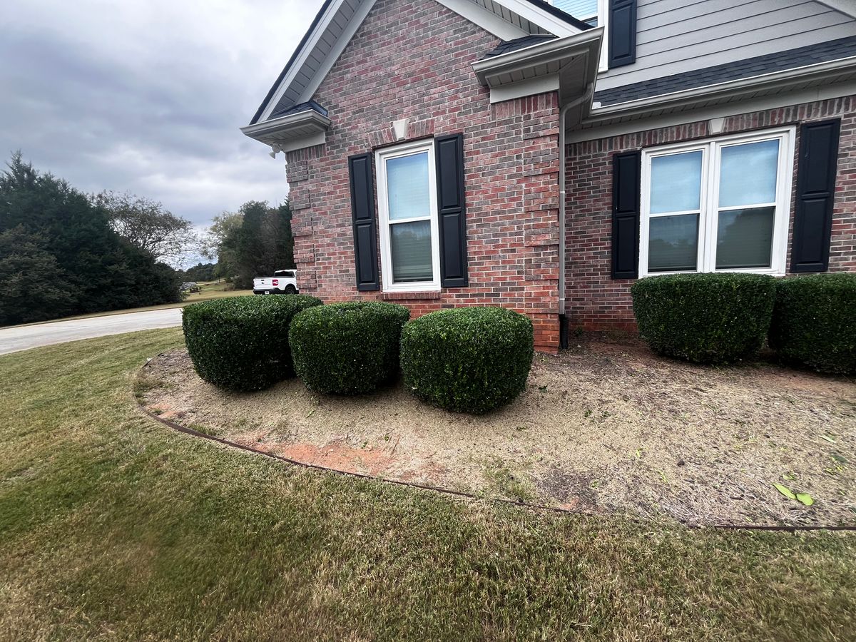 Tree & Shrub Care for Southern Outdoors Landscaping in Covington, GA
