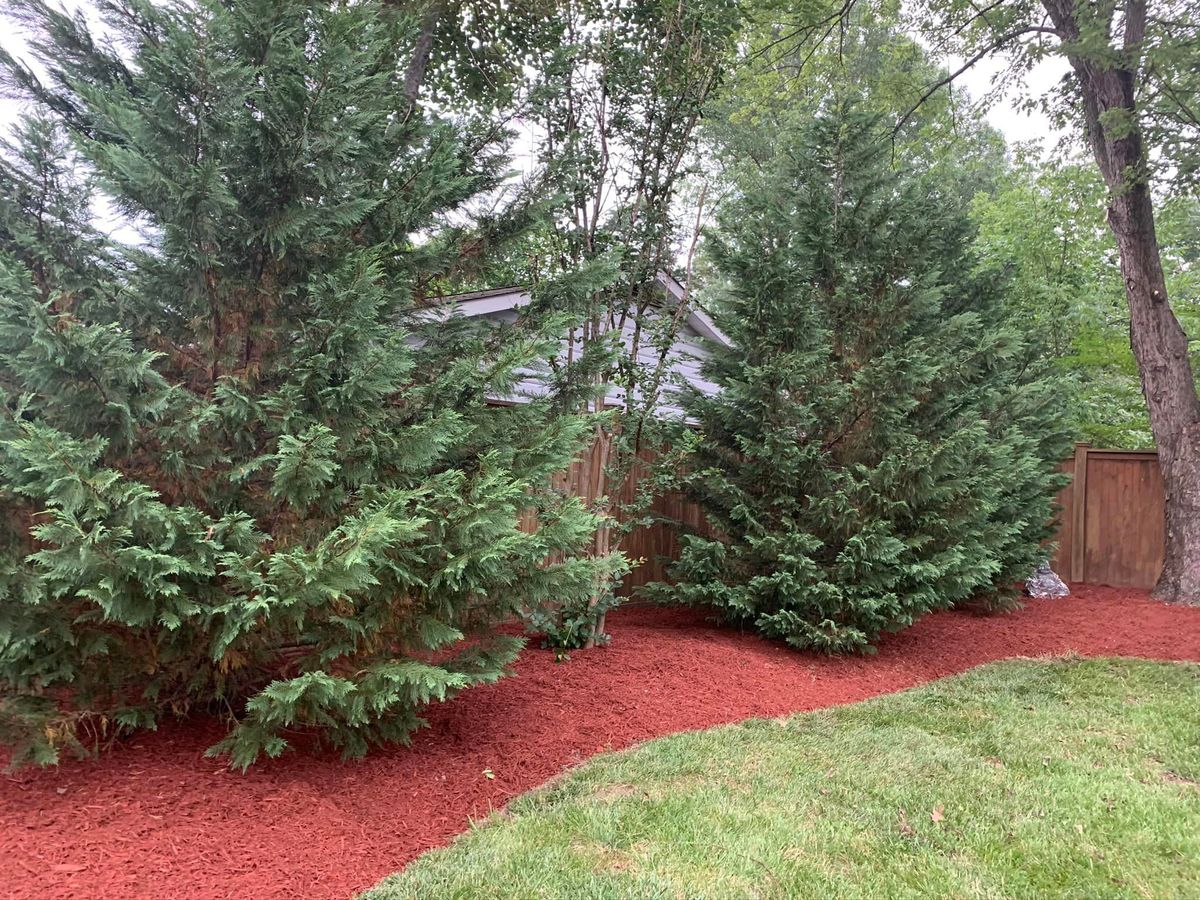 Mulch Installation for Branch Out Tree Care LLC in Fredericksburg, VA