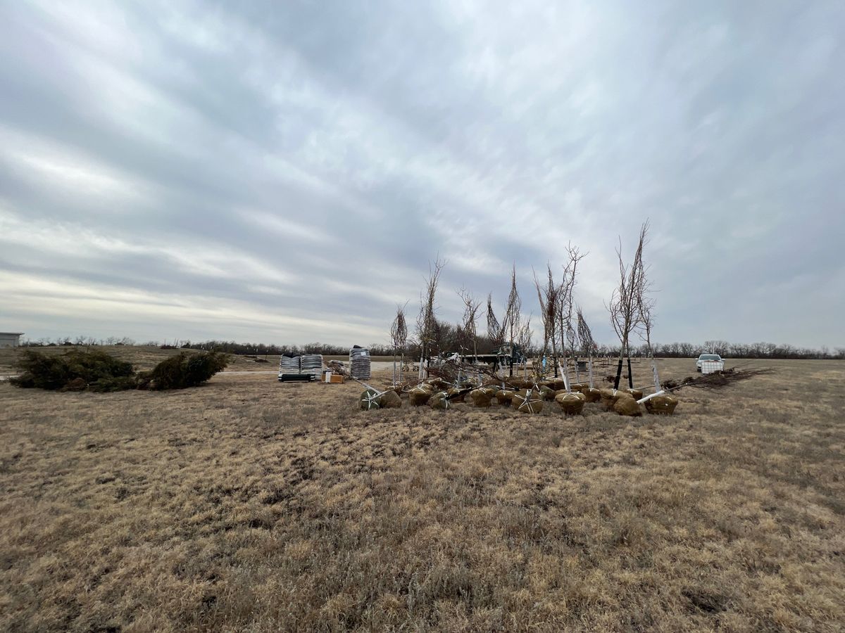 Tree Planting for Jakob’s Lawn Kare in Wichita, KS