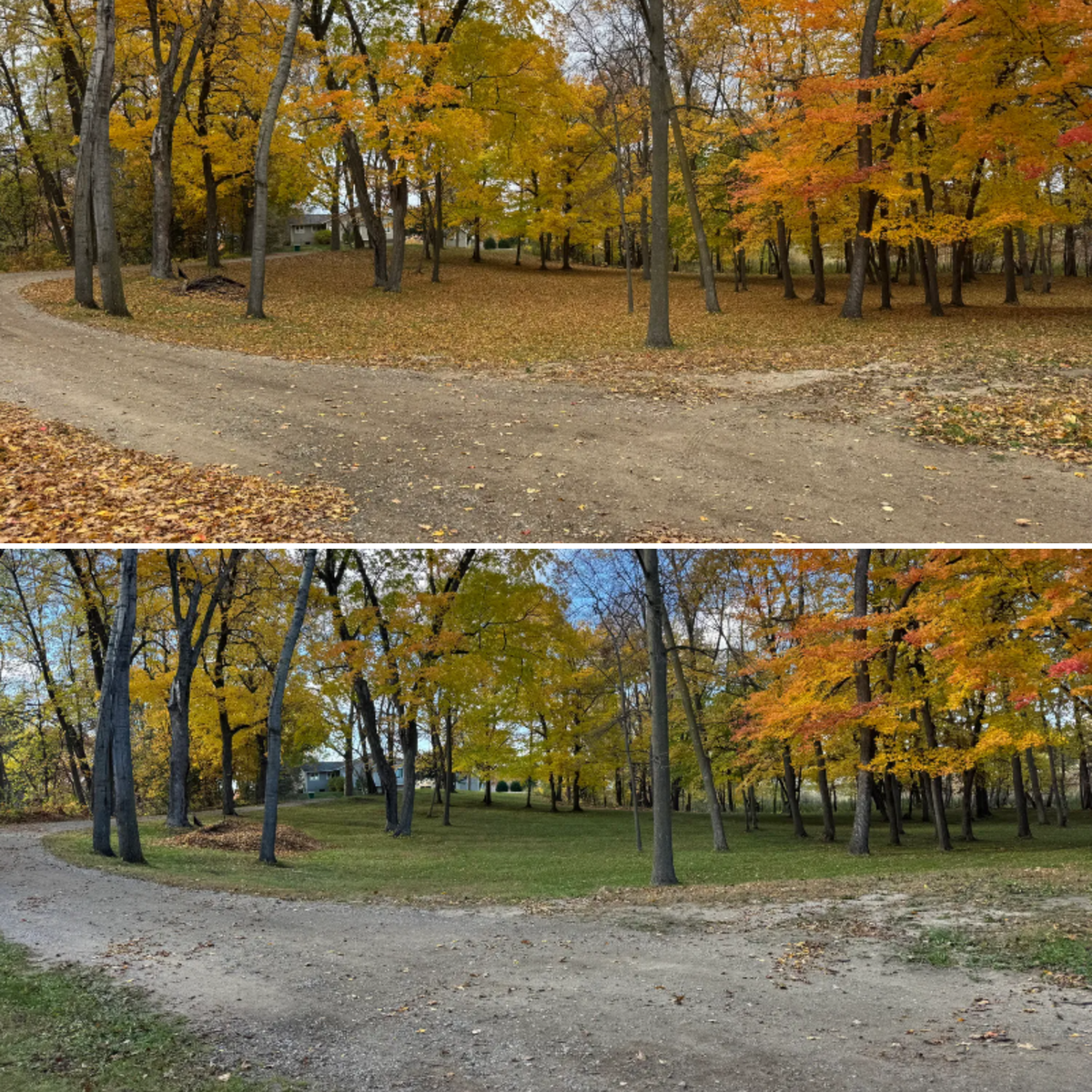 Fall Clean Up for Bubba’s Seasonal Services in Buffalo, MN